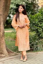 2PC- Embroidered Lawn Dress