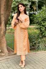 2PC- Embroidered Lawn Dress