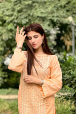 2PC- Embroidered Lawn Dress