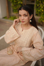 2Pc - Embroidered Zarri Lawn Dress