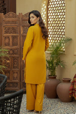 2Pc - Embroidered Solid Dress