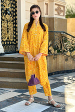 2 Piece Lawn Suit-Printed (Pret)