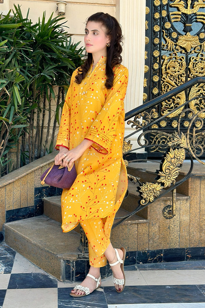 2 Piece Lawn Suit-Printed (Pret)