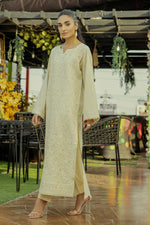 2Pc - Embroidered Solid Dress