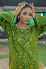 2Pc - Embroidered Solid Dress