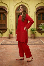 Schiffli Embroidered Dress
