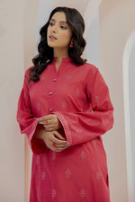 2 Piece Raw Silk Suit-Embroidered (Pret)