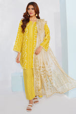 3 Piece Cambric Suit-Printed