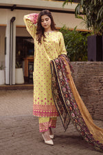 3 Piece Cambric Suit-Printed