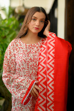 3 Piece Cambric Suit-Printed