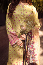 3 Piece Cambric Suit-Printed