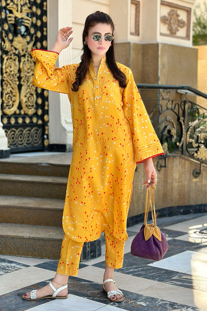 2 Piece Lawn Suit-Printed (Pret)